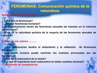 4. Ofrece Valor