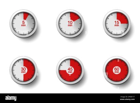 Optimiza tu tiempo con este temporizador gratuito de 30 minutos en l&iacute;nea