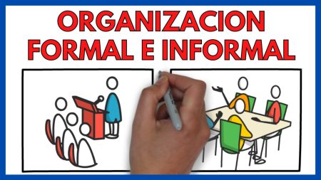 Importancia de la estructura y funci&oacute;n