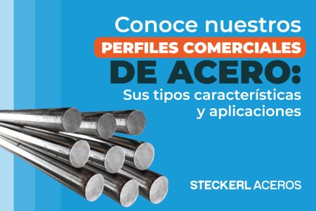 Guía de Tipos de Perfiles para Comercializar Efectivamente Guía de Tipos de Perfiles para Comercializar Efectivamente