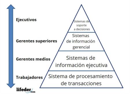 Los diferentes tipos de clasificación de sistemas: ¿Cómo se categorizan? ¿Qué es la esencia de cada ser?