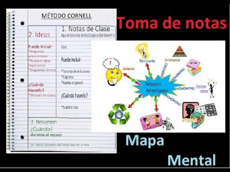 Todo lo que necesitas saber sobre la toma de notas 4. Revise y organiza tus notas regularmente
